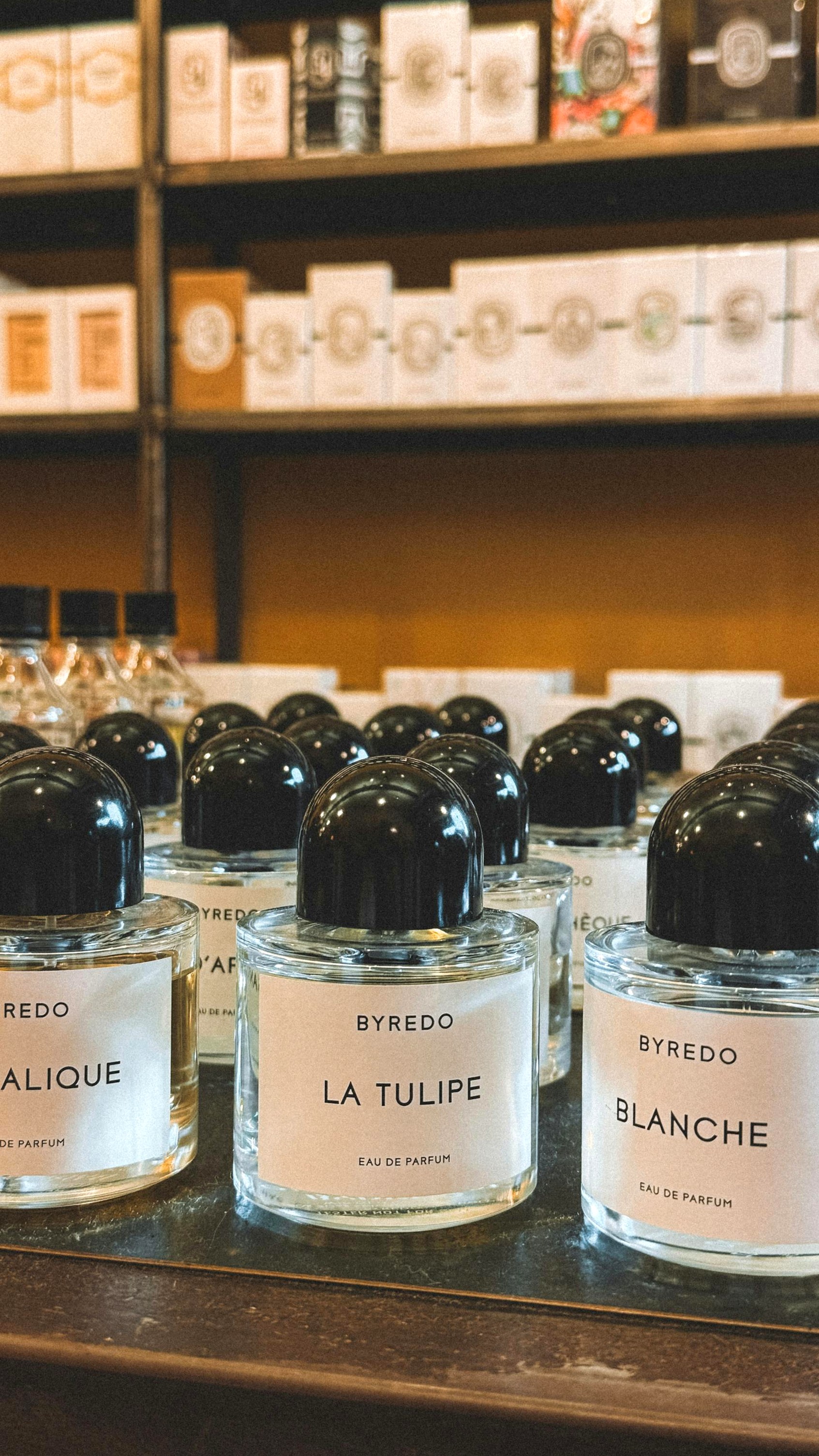 명품 향수 매장 디스플레이